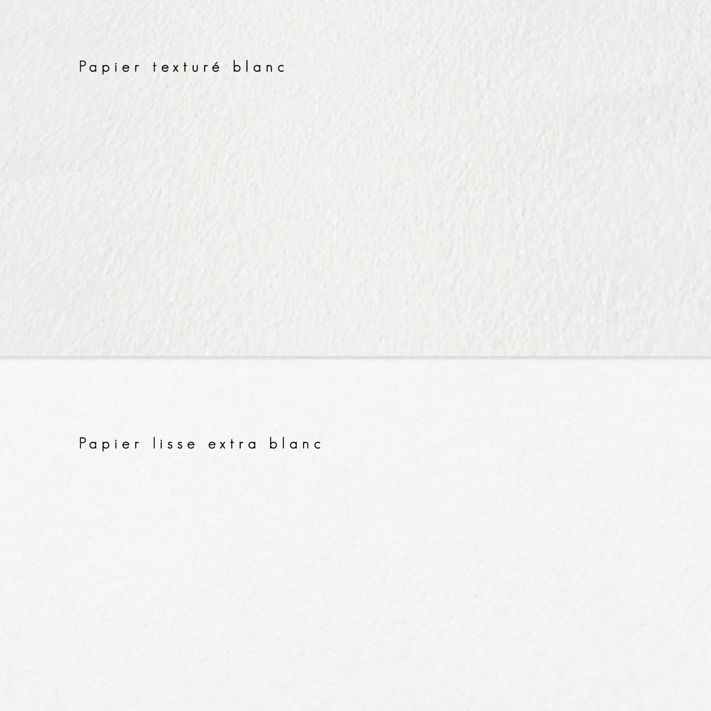 Faire-part personnalisé famille de dos